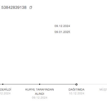 Zara Online Mağaza: Ücretli Hızlı Teslimat Sorunu