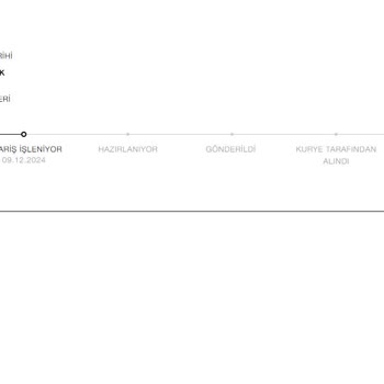 Zara Online Mağaza: Ücretli Hızlı Teslimat Sorunu
