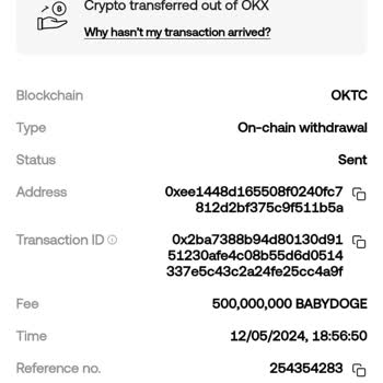 Babydoge Transfer Missing from Okex to Mex Account – No Support Response