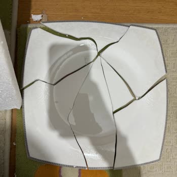 Kırık Servis Tabağı Ve Yedek Parça Sorunu
