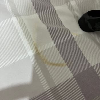 Kireç Önleyici Özellikli Tefal Ütü Hayal Kırıklığı Yarattı