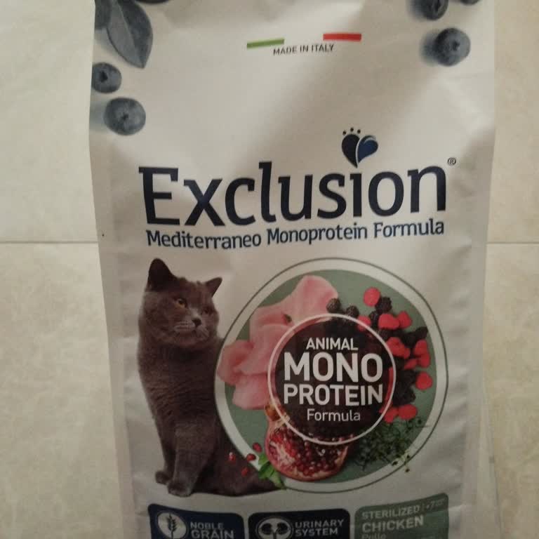 Kedimde İdrar Yolu Sorunlarına Yol Açan Mama