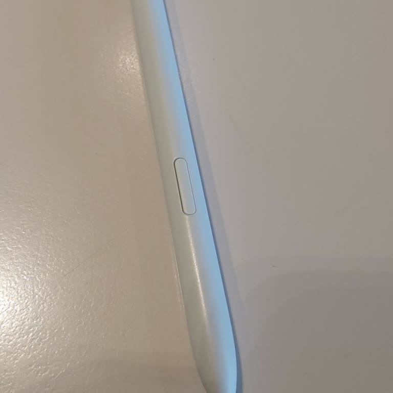 Samsung Tablet Kalemi Sorunu