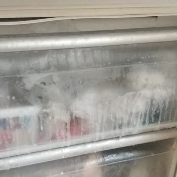 Bosch Servisinden Hayal Kırıklığı: Yanlış Fiyatlandırma Ve Eksik Hizmet