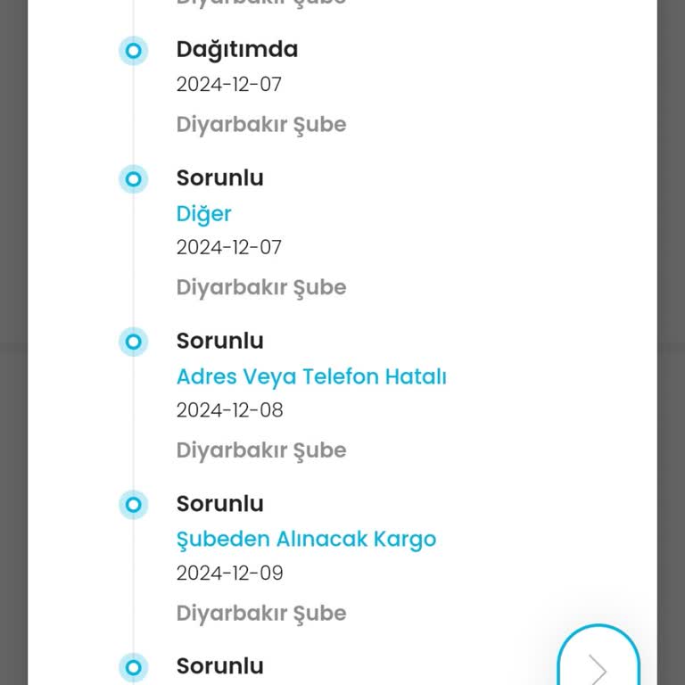 Kargoist Diyarbakır'da Adrese Teslimat Sorunu
