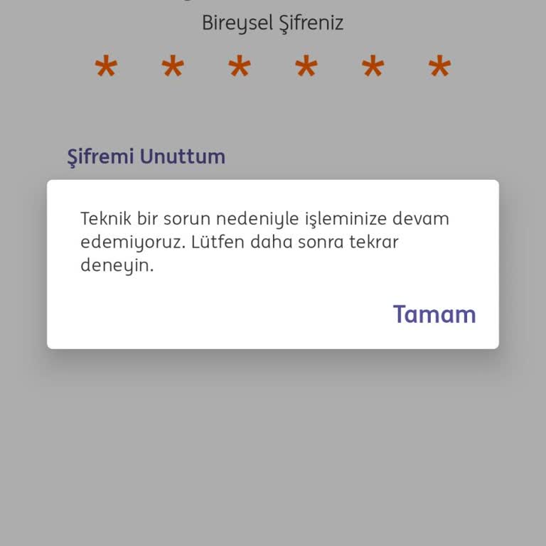 Mobil Bankacılık Erişim Sorunu