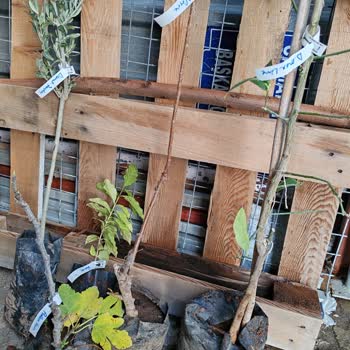 Eksik Teslimat Ve Yanıltıcı Bilgilendirme Sorunu