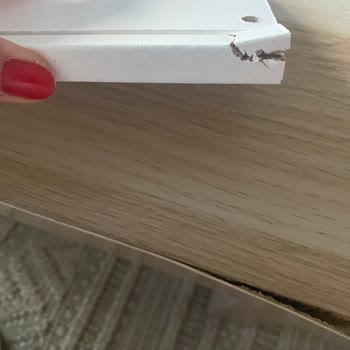 IKEA Delivered a Damaged Product but Their System Shows It Was Never Delivered