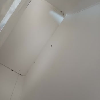 Bozuk Ürün Ve Fiş Sorunu: A101 Alışveriş Deneyimi