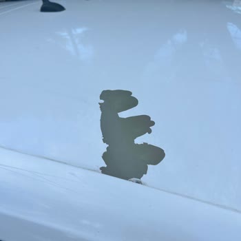 Opel Astra'nın Boya Sorunu Ve Hayal Kırıklığı!