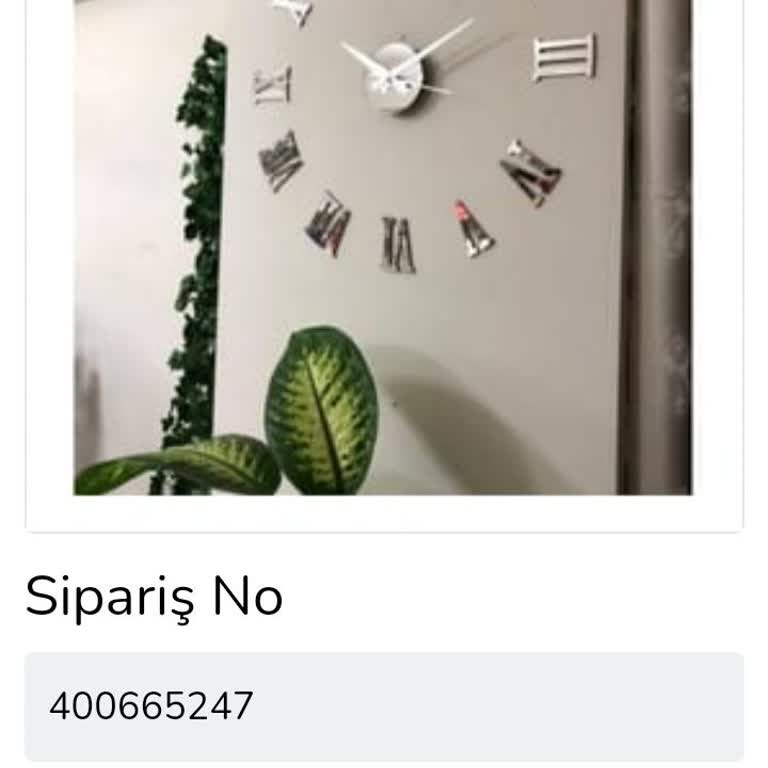 Çiçek Sepeti'nde İade Sorunu Ve Güven Eksikliği