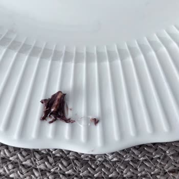 Çikolata İçinde Beklenmedik Plastik Parçası Şoku