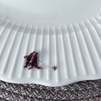 Çikolata İçinde Beklenmedik Plastik Parçası Şoku