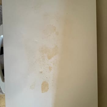 Şenocak Derin Dondurucu: Paslanma Ve Servis Sorunları