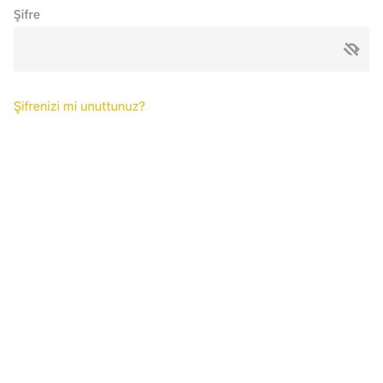 Binance TR Şifre Sorunu Ve Erişim Problemi