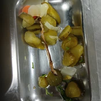 Metro Großhandel liefert ungenießbare Ware mit gravierenden Qualitätsmängeln