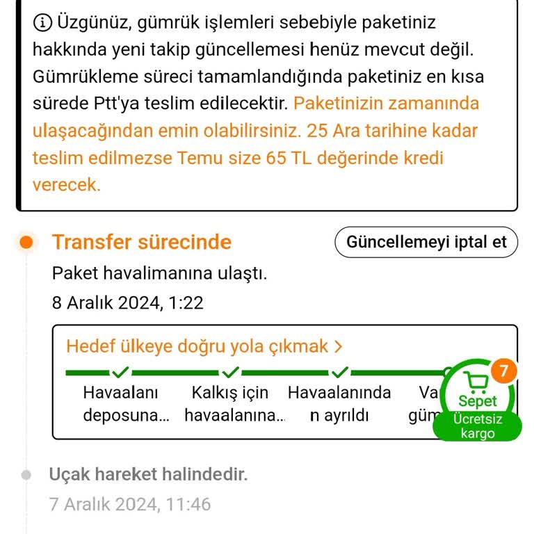 Temu Siparişim Zamanında Teslim Edilmedi: Gümrükte Mi Takıldı?
