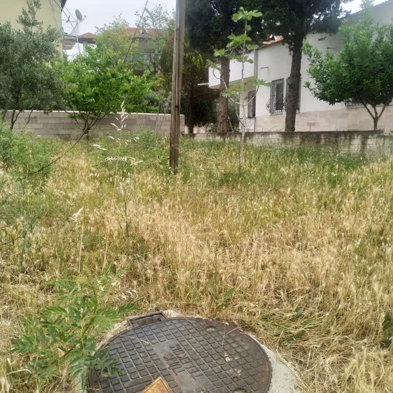 Arsamda İzinsiz Telefon Direği Ve Rögar Kapağı Sorunu