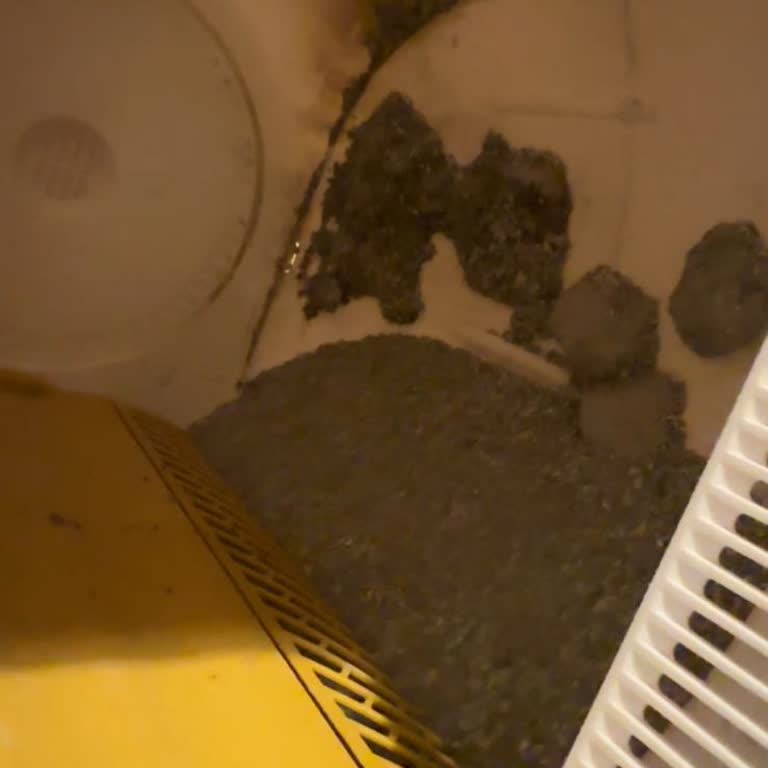 Akıllı Kedi Tuvaleti İade Sorunu