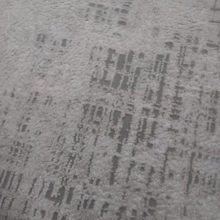 Gümüşsuyu Halı'nın Keçeleşme Sorunu Ve İlgisizlik