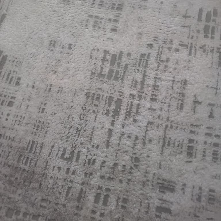 Gümüşsuyu Halı Keçeleşme Sorunu Ve İlgisizlik