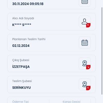 Kayıp Kargo Krizi: Pasaportum Nerede?