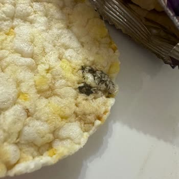 Küflü Ürün Şoku: Eti Gong Mısır Patlağı