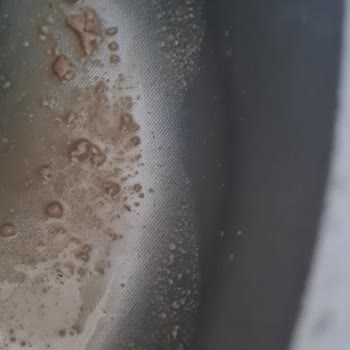 Bozuk Sek Laktozsuz Latte Sağlığımızı Tehdit Ediyor