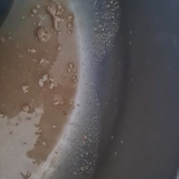 Bozuk Sek Laktozsuz Latte Sağlığımızı Tehdit Ediyor