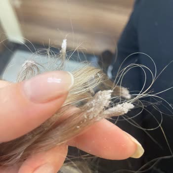 Kadir Tazegül Saç Tasarım Mağdur Olmam