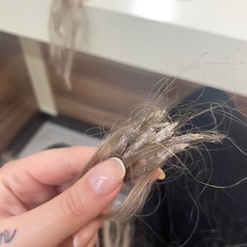 Kadir Tazegül Saç Tasarım Mağdur Olmam