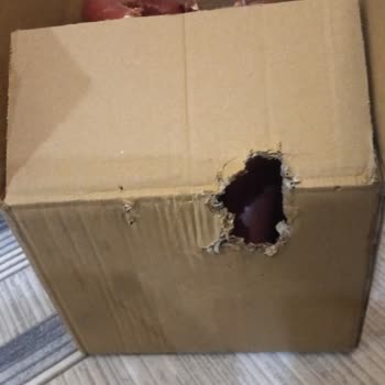 Kargoda Kemirilmiş Sucuklar Ve İade Sorunu