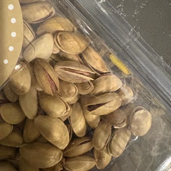 Migros'tan Aldığım Kuruyemişte Kurt Ve Güve Sorunu