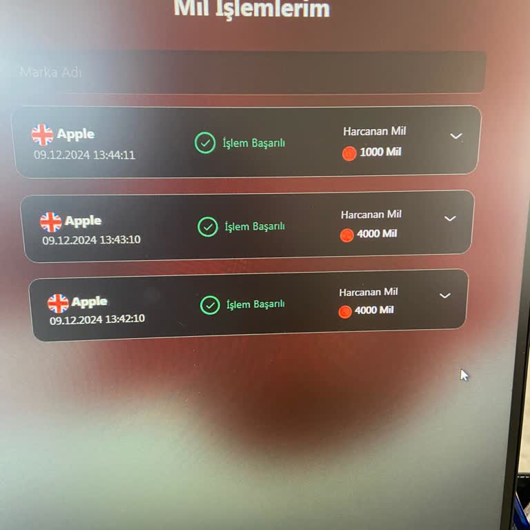 THY Miles&Smiles Hatalı Güvenlik Uygulaması