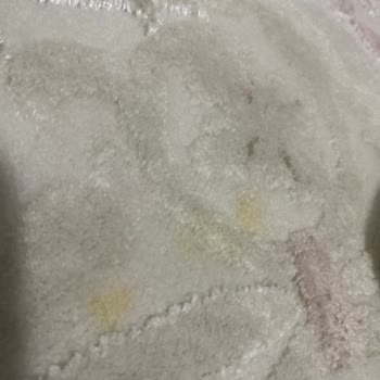 Esenyurt Mülk Halı Yıkama Şikayeti