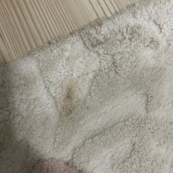 Esenyurt Mülk Halı Yıkama Şikayeti