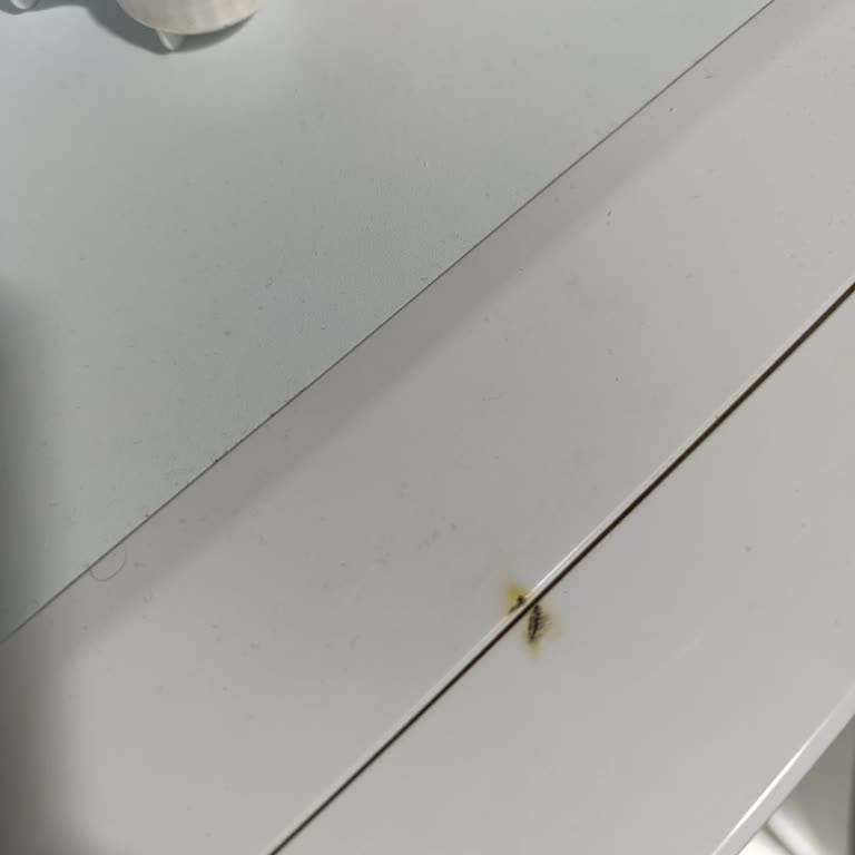 Çamaşır Makinesi Arızası Ve Servis Sorunları