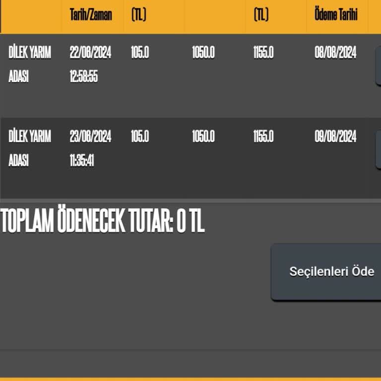 HGS İhlali Olmadan Gelen 2100 TL Ceza Şoku