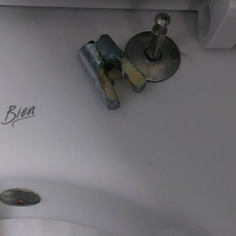 Bien Klozet Kapağı Menteşe Sorunu