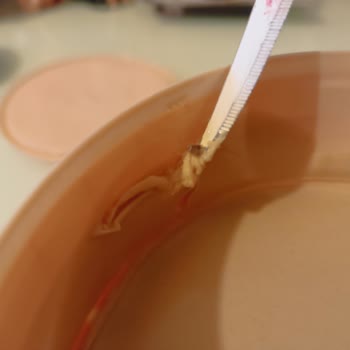 Torku Fındık Kremasında Şok Edici Sürpriz