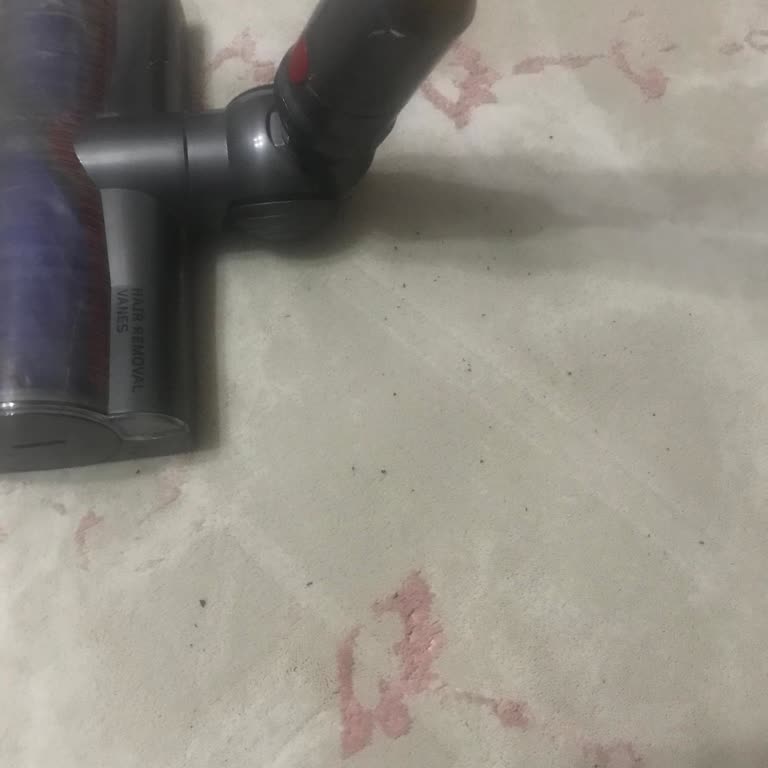 Dyson Ignored My Warranty Request and Provided No Real Customer Support