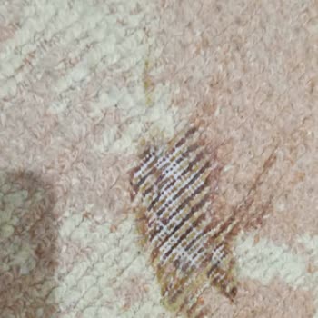 Awox Tost Makinesi Çocuklar İçin Tehlike Arz Etti