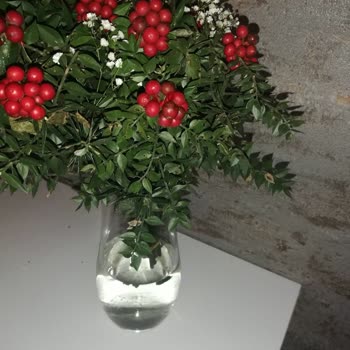 Çiçek Sepeti Görsel Ve Gerçek Ürün Uyumsuzluğu