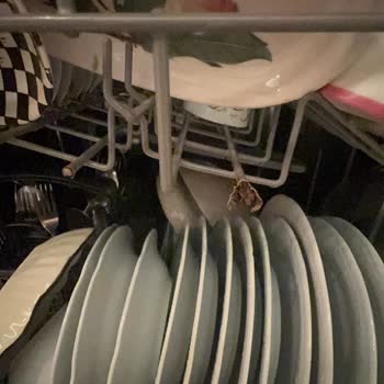 Franke Bulaşık Makinesi Sepetlerinde Paslanma Sorunu