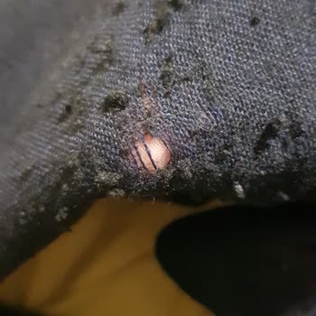 Sadece 10 Kullanımda Yırtılan Pantolon