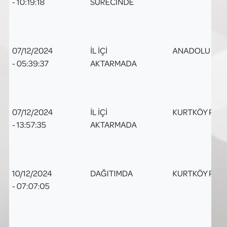 PTT Kargo Teslimat Sorunları Ve Müşteri Memnuniyetsizliği