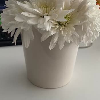 Yanlış Çiçek Teslimatı Ve Yanıltıcı Görsellerle Hayal Kırıklığı