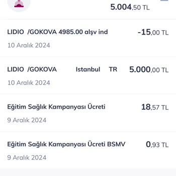 Lidio Ödeme Hizmetleri PTT Kargo Takip Sitesi Üzerinden Yanıltıcı Şoku