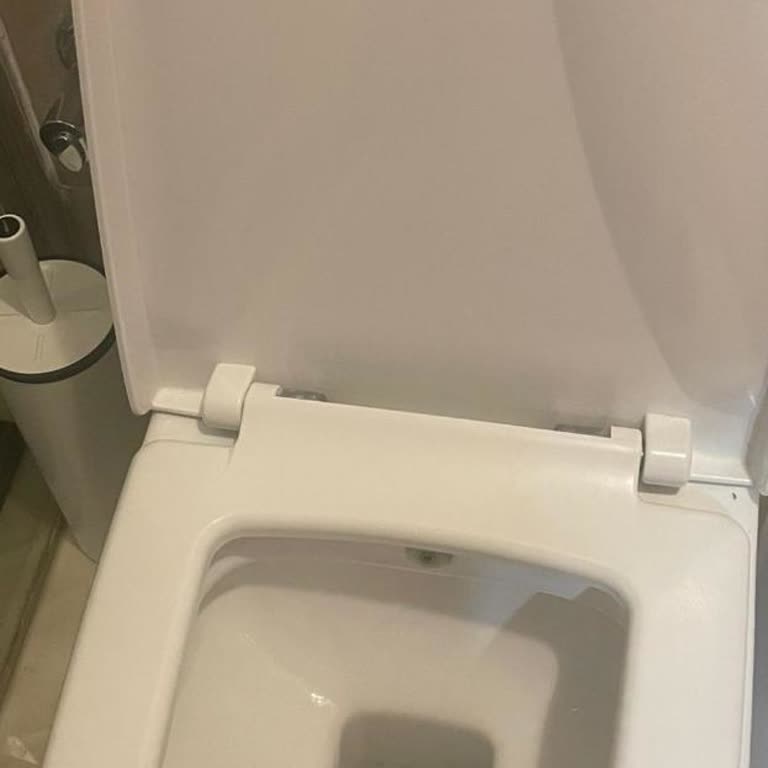 Bien Klozet Kapağına Ulaşamama Sorunu