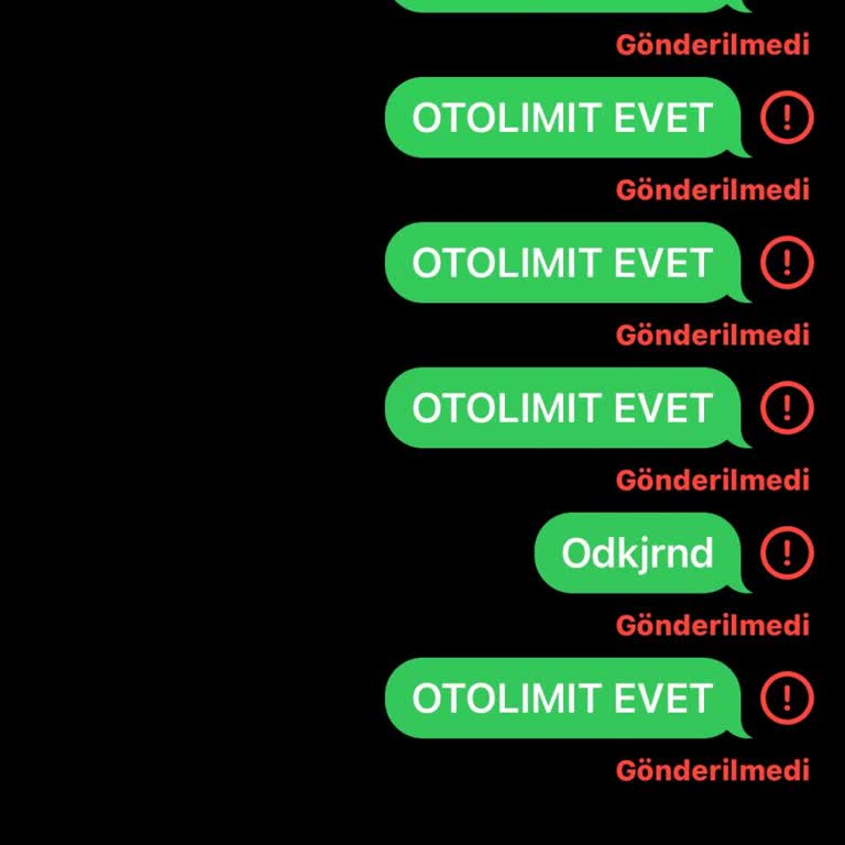 Ziraat Bankası Kredi Limiti Artışı Sorunu